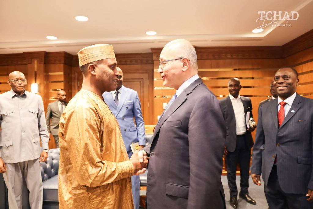 وزير الخارجية يستقبل المدير الجديد للمفوضية السامية لشؤون اللاجئين