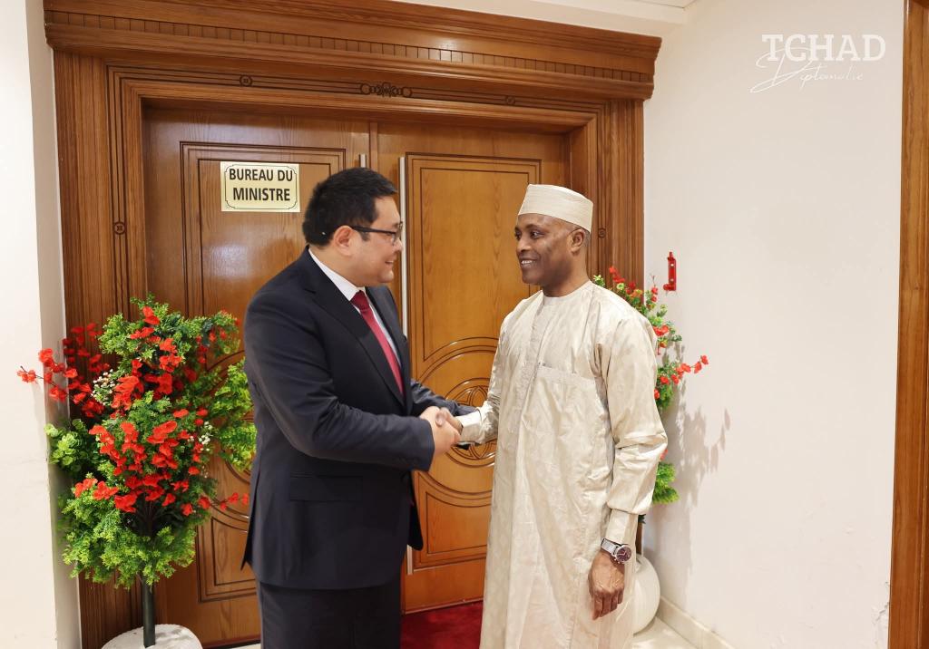 تشاد وقيرغيزستان تبحثان تعزيز التعاون الثنائي وتوقيع اتفاقية إطارية شاملة