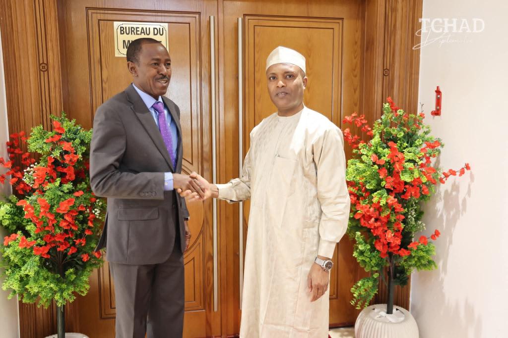 وزير الدولة يستقبل القائم بالأعمال السوداني لبحث القضايا الحدودية والإنسانية