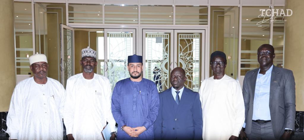 تشاد: اجتماع وزاري مشترك لتوحيد إجراءات تنقّل المنظمات الإنسانية بشرق البلاد